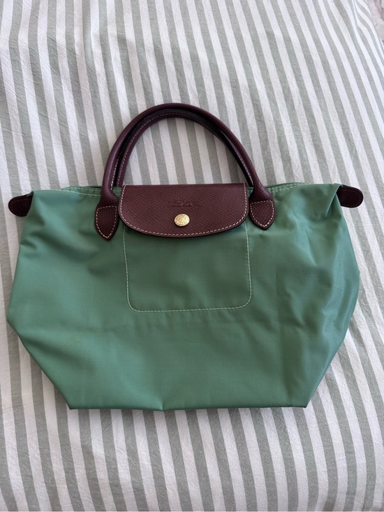 Longchamp Handbags - Longchamp Sage Green Handbag